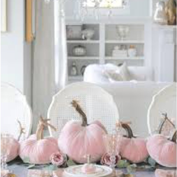 Pink Fall, Halloween & Thanksgiving